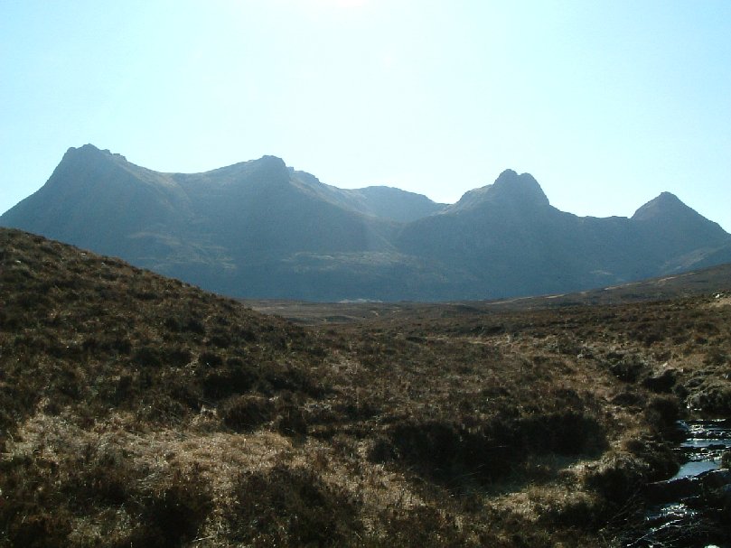 Ben Loyal
